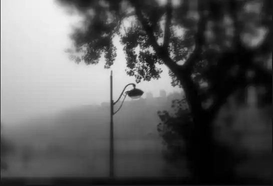 Réverbère solitaire dans la brume, silhouette d’arbre en premier plan. Illustration de la nouvelle Nuit et lumière du souffleur d’histoires Hervé Gransart.