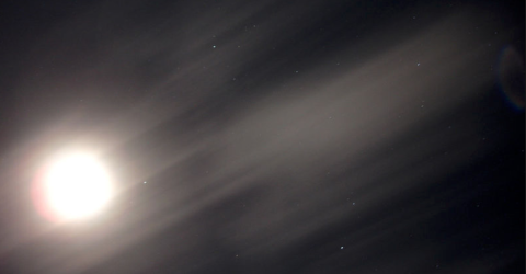 95cc62_1e063d913de04b62bd796846de051739~mv2