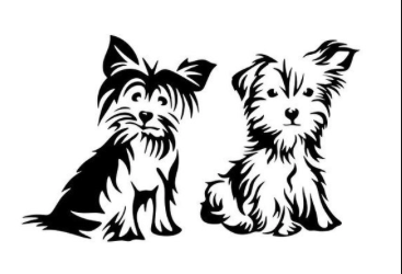 95cc62_c5f3852e26224dbeb4db644d7dbdcba4~mv2