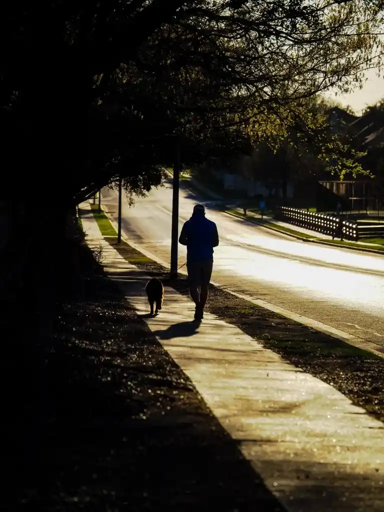 Silhouette d’un jogger et de son chien courant sur une route au crépuscule, contre-jour doré. Illustration de la nouvelle « Rien ne sert de courir » d’Hervé Gransart.